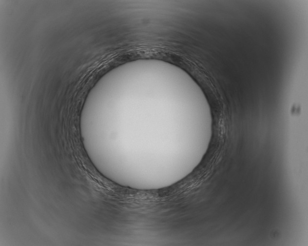X0000110730865200906121308