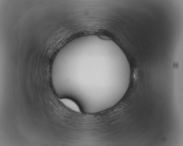 X0000110730867200906121308
