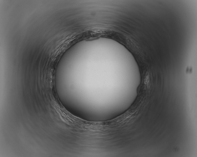 X0000110730868200906121308