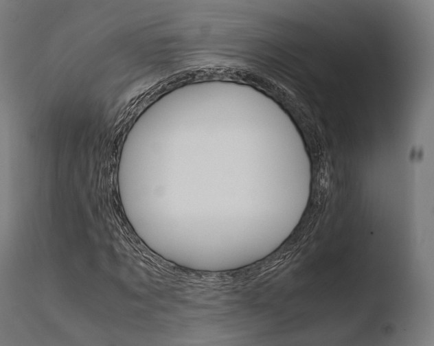 X0000110730869200906121308