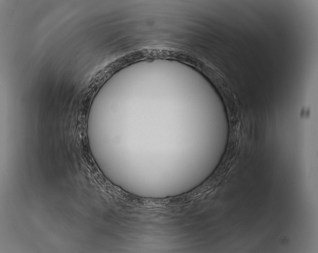 X0000110730870200906121308