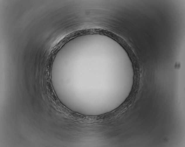 X0000110730871200906121308