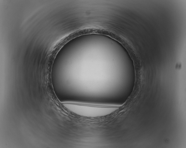 X0000110730872200906121308