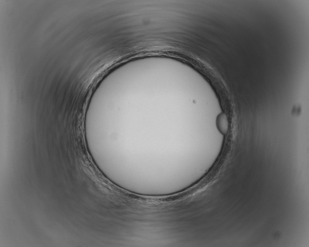 X0000110730873200906121308