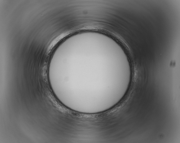 X0000110730874200906121308