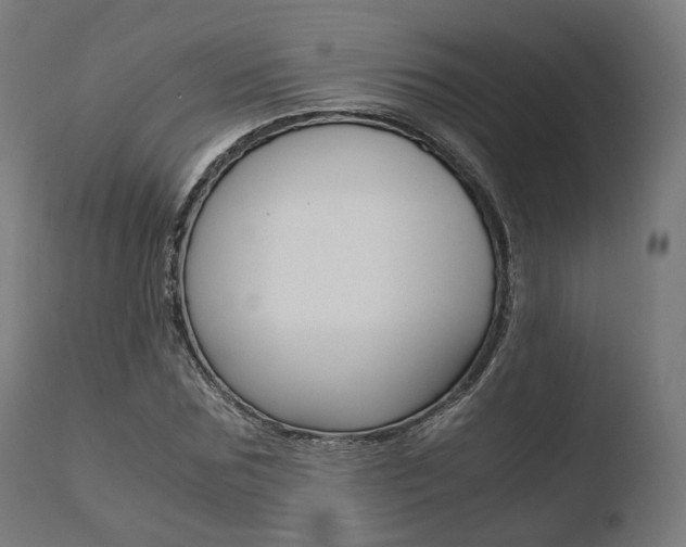 X0000110730875200906121308
