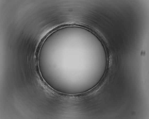 X0000110730876200906121308