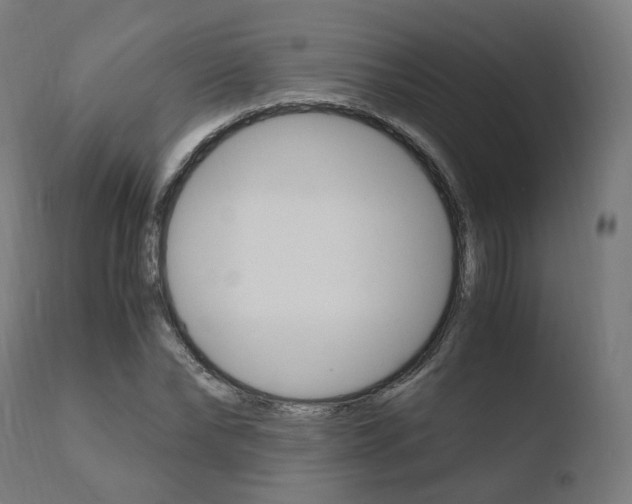 X0000110730878200906121308
