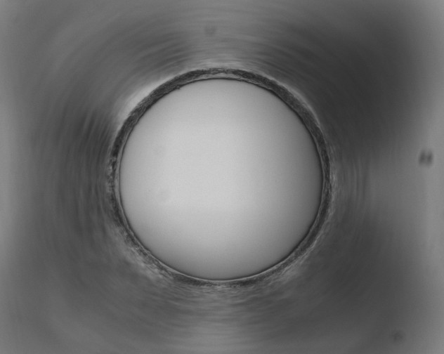X0000110730879200906121308