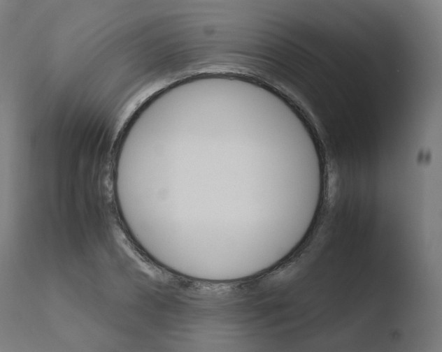 X0000110730882200906121308