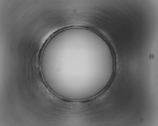 X0000110730883200906121308