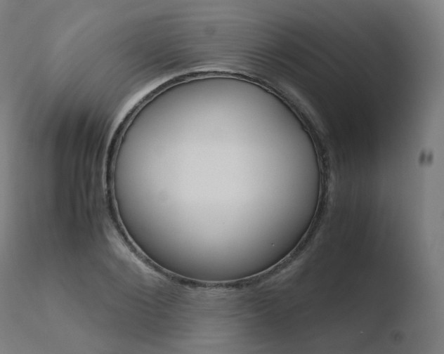 X0000110730884200906121308