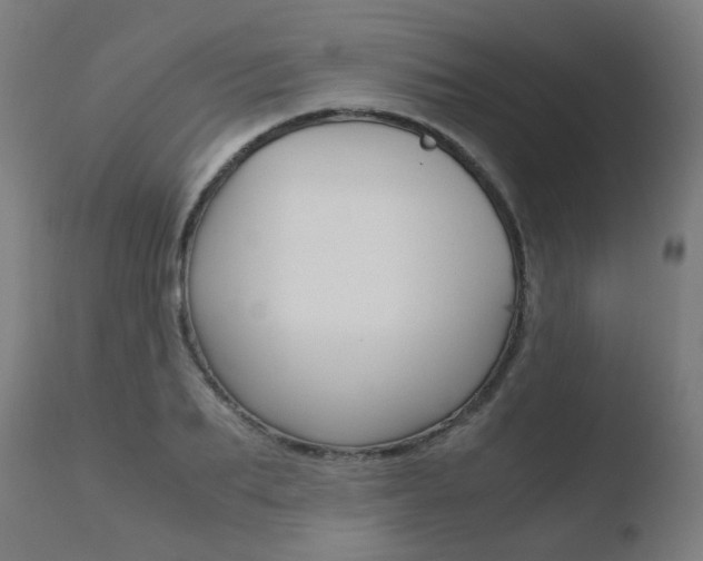 X0000110730887200906121308