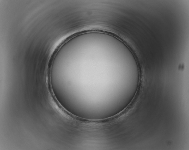 X0000110730888200906121308