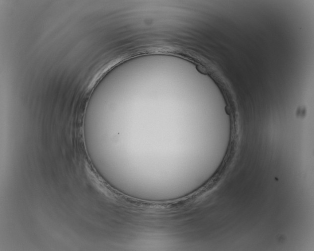 X0000110730889200906121308