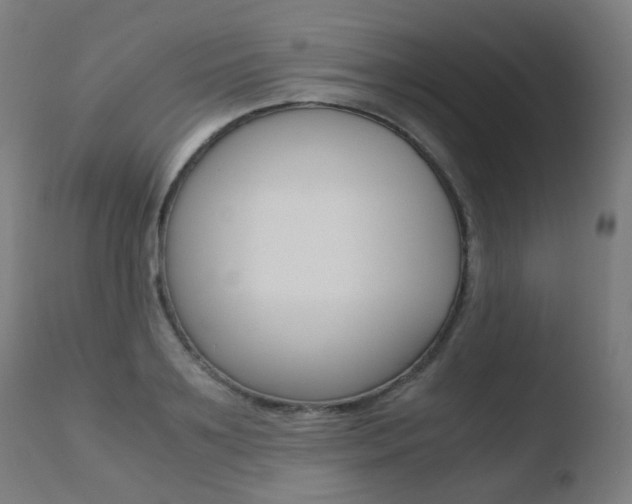 X0000110730891200906121308