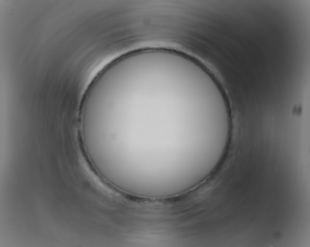X0000110730895200906121308