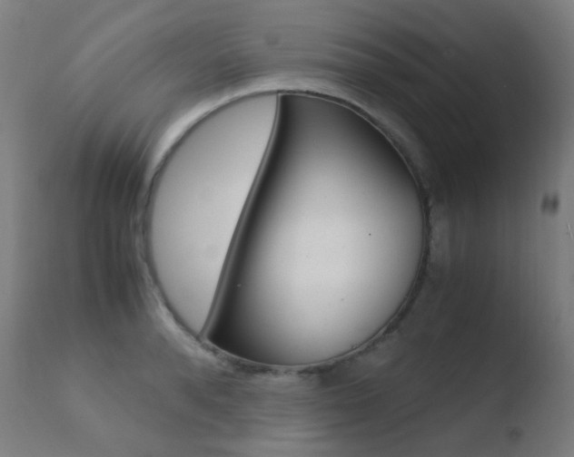 X0000110730896200906121308