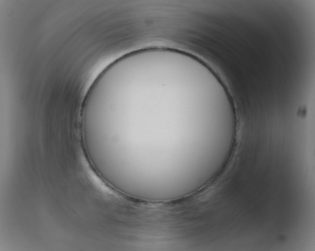 X0000110730903200906121308