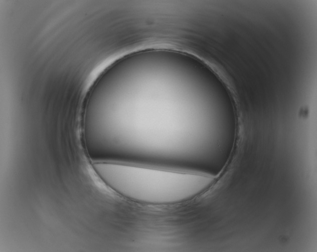 X0000110730904200906121308