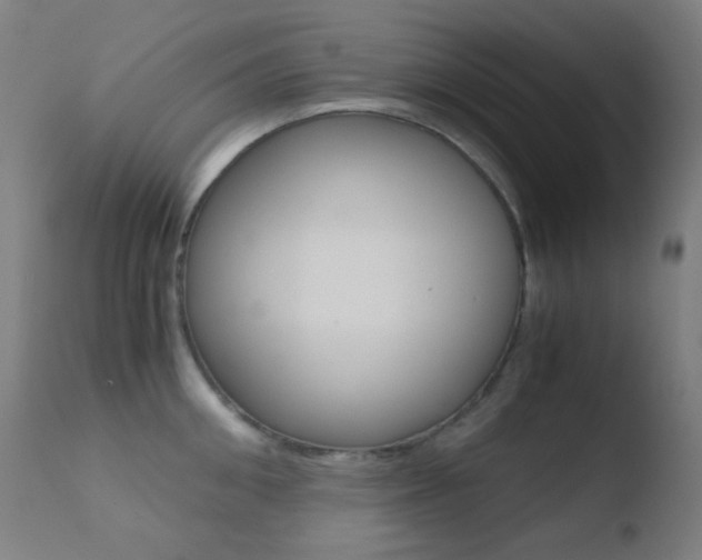 X0000110730906200906121308