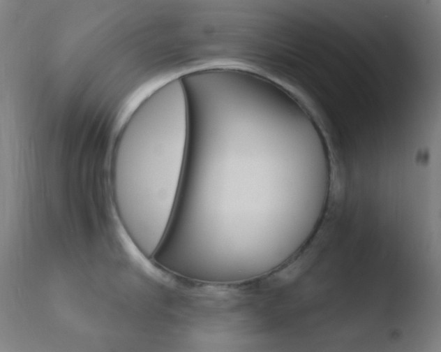 X0000110730910200906121308