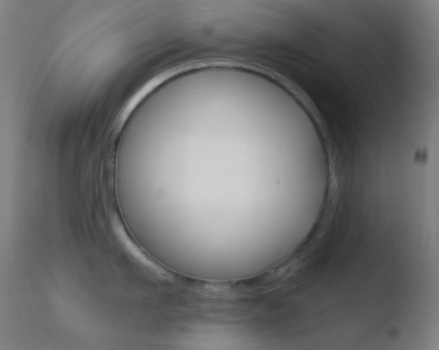 X0000110730911200906121308