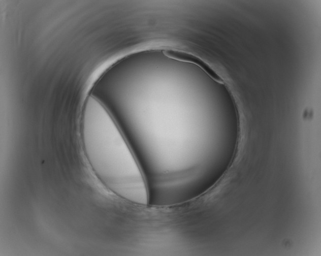 X0000110730912200906121308