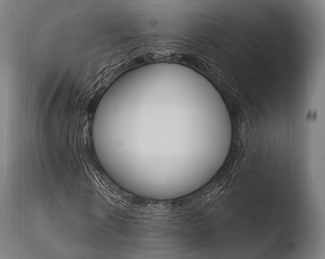 X0000110730914200906121307