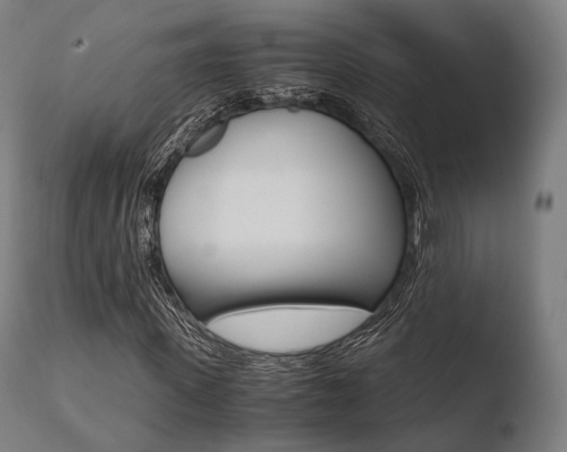 X0000110730915200906121307