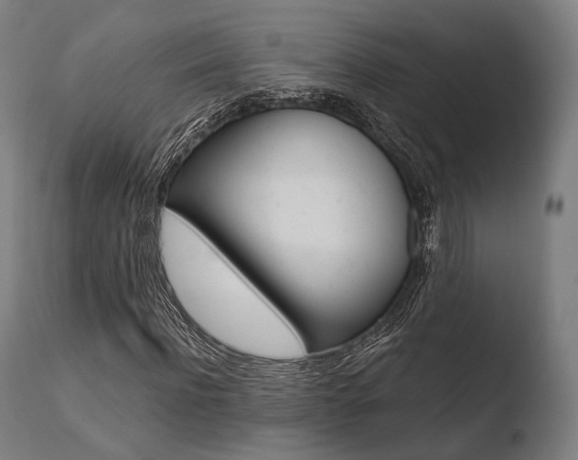 X0000110730916200906121307