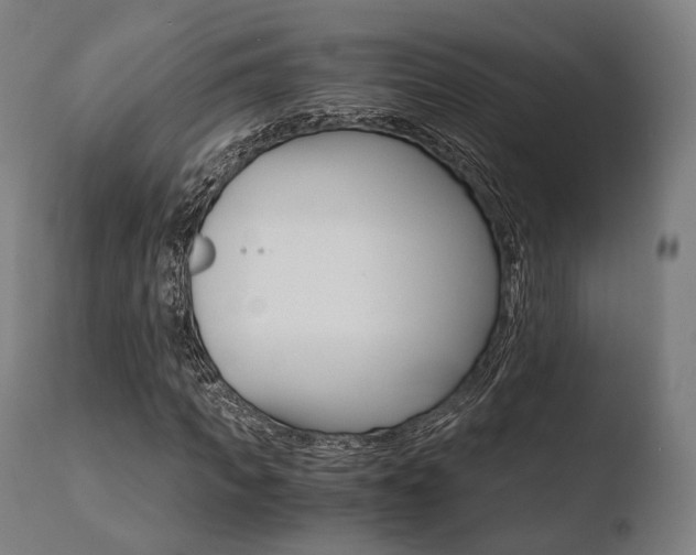X0000110730917200906121307