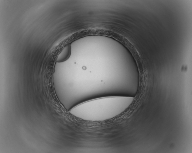 X0000110730919200906121307
