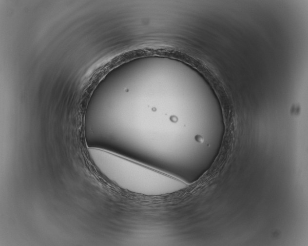 X0000110730920200906121307