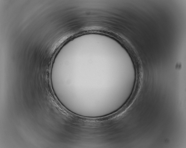 X0000110730921200906121307