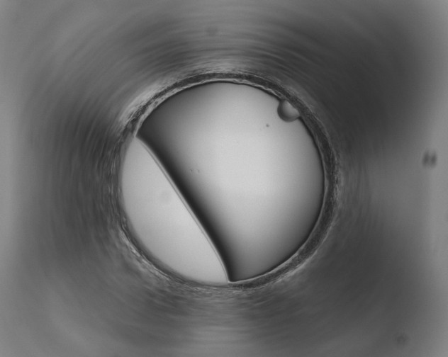 X0000110730922200906121307