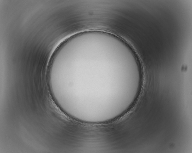 X0000110730924200906121307