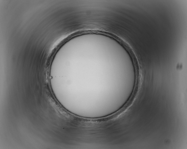 X0000110730925200906121307