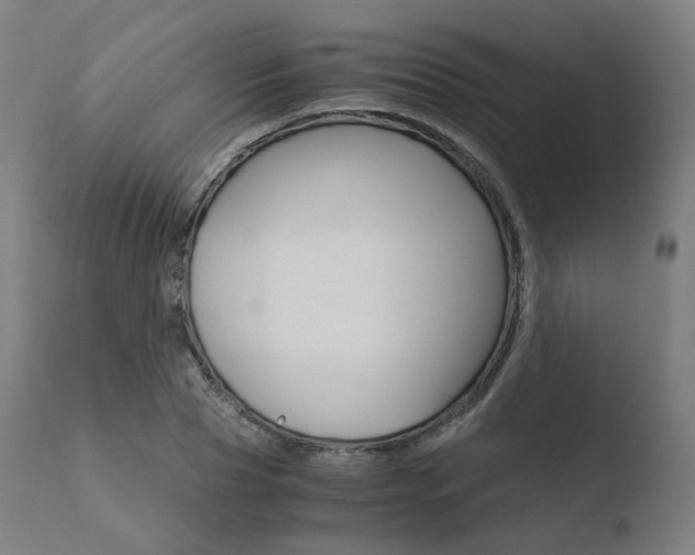 X0000110730929200906121307