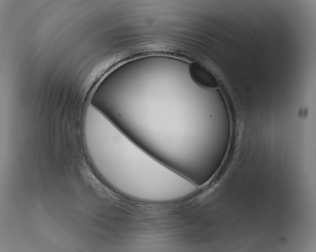 X0000110730930200906121307