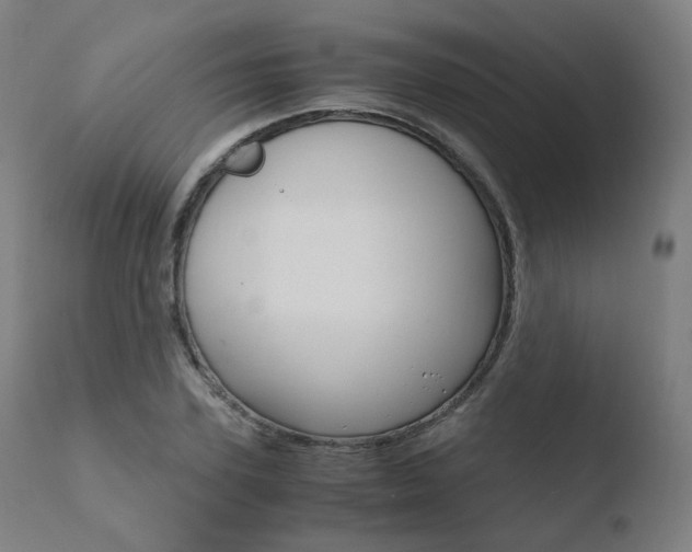 X0000110730931200906121307