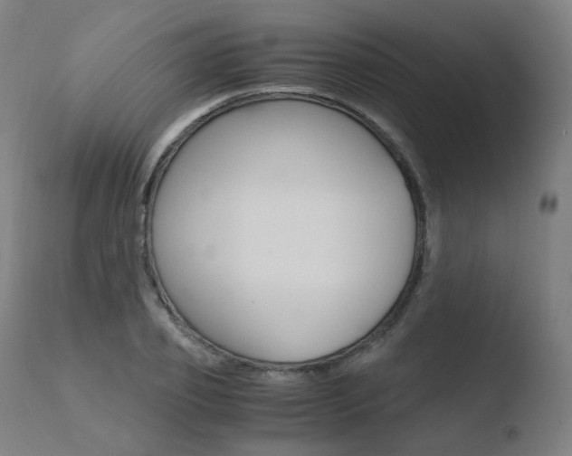 X0000110730933200906121307