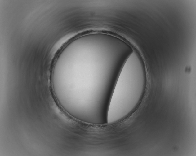 X0000110730935200906121307