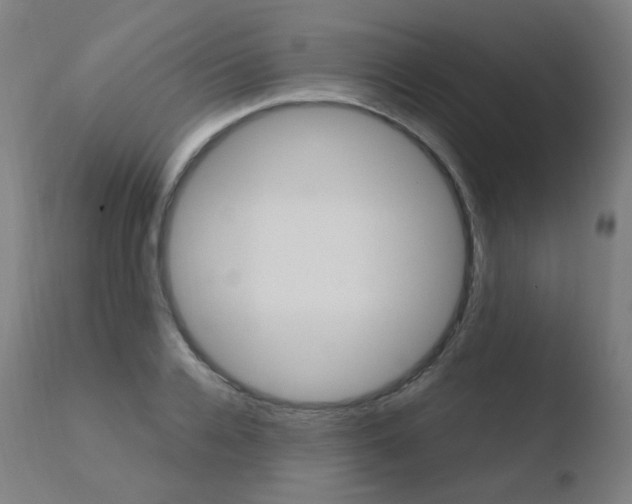 X0000110730936200906121307
