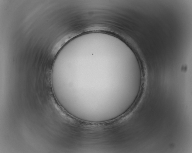 X0000110730937200906121307