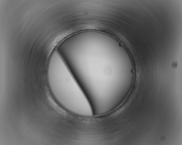 X0000110730938200906121307