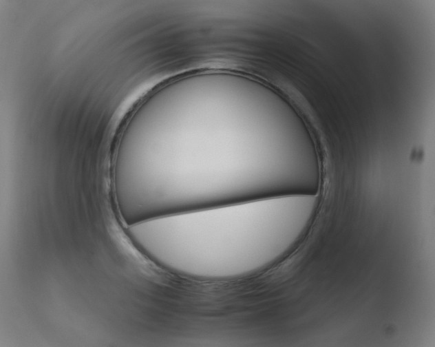 X0000110730939200906121307