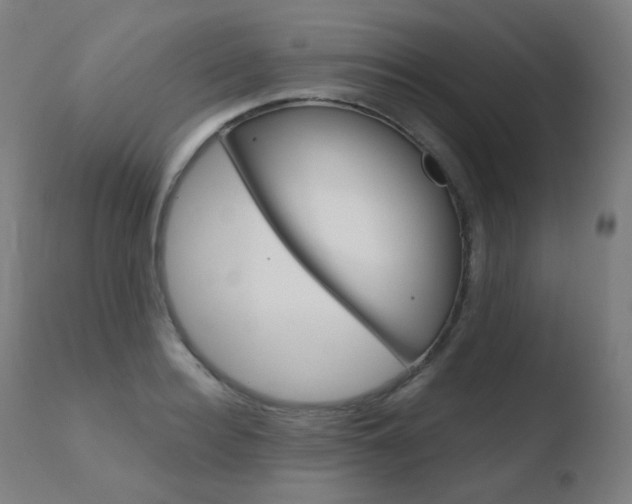 X0000110730940200906121307