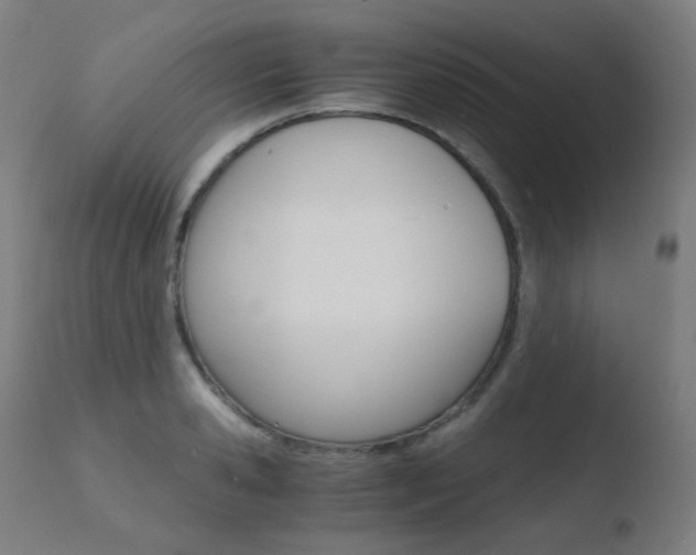 X0000110730941200906121307