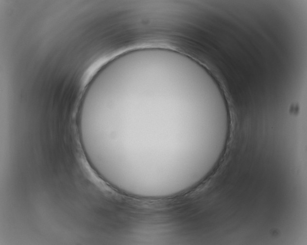 X0000110730944200906121307